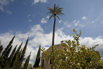 Agroturismo Sa Vinya Des Convent