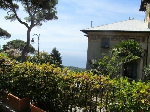 Virgin Stay Portofino