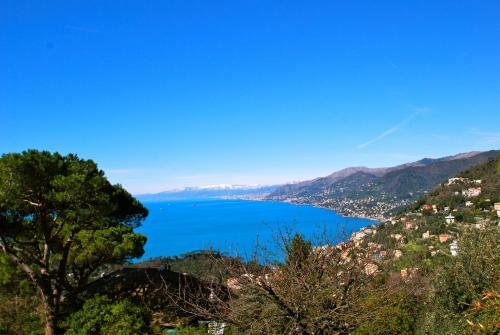 Virgin Stay Portofino
