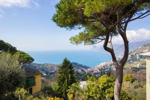 Virgin Stay Portofino