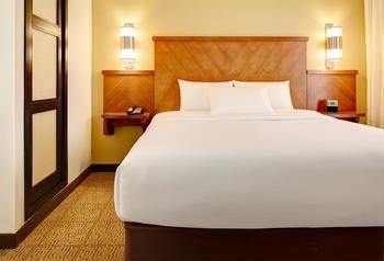 Hotel Hyatt Place Dulles Airport South