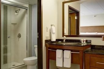 Hotel Hyatt Place Dulles Airport South