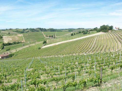 Bed & Breakfast Cascina Valtignosa Camere Con Vigna