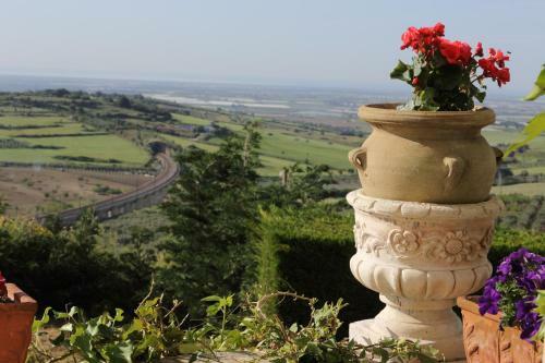 Bed & Breakfast Masseria Santa Caterina
