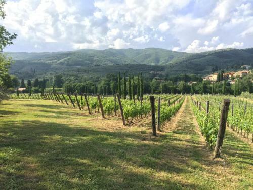 Bed & Breakfast Casa Portagioia