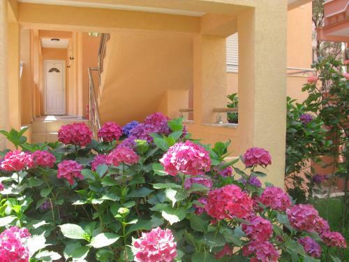 Garni Hotel Koral