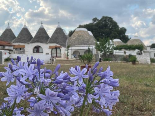 Agroturismo Masseria Ferri