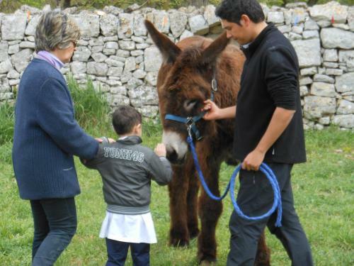 Agroturismo Masseria Ferri