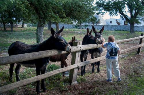Agroturismo Masseria Ferri
