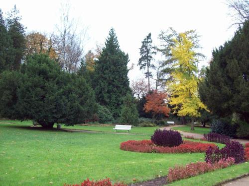 One-bedroom House In Mosbach I