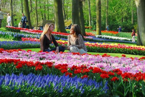 B&B Almere