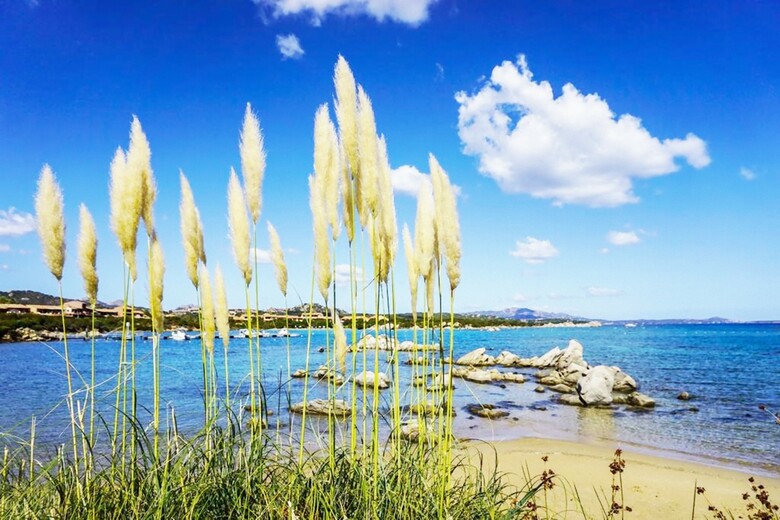 Apartamentos Villaggio Baia De Bahas � Suites