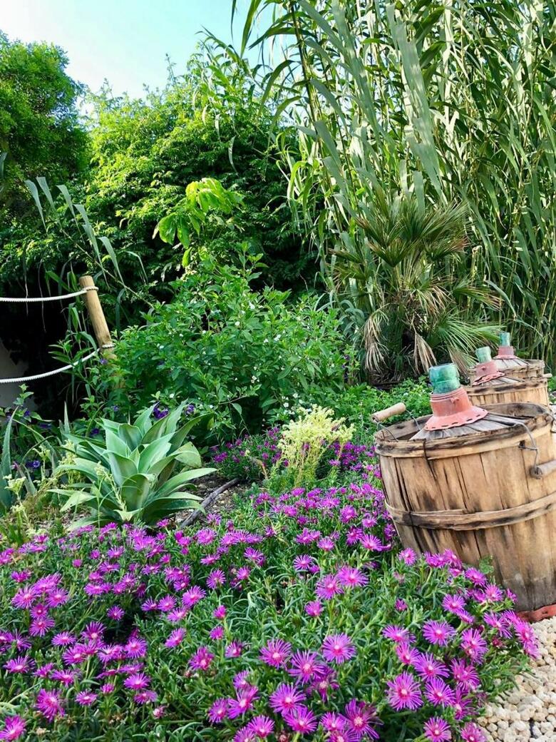 Bella Colina Vintage Hotel 1953