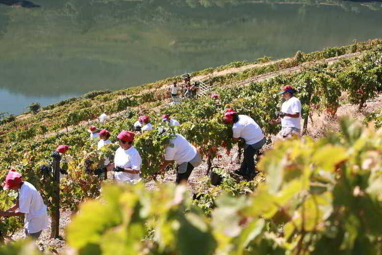 Hotel Quinta Nova - Luxury Winery House