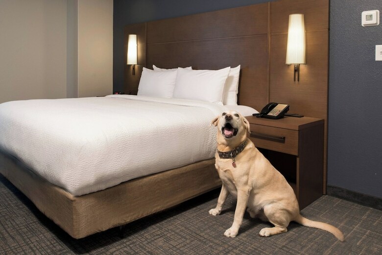 Hotel Residence Inn By Marriott Downtown