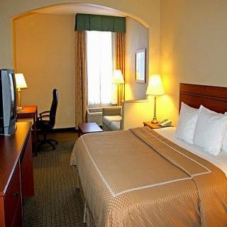 Hotel Comfort Suites Downtown South