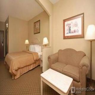 Hotel Comfort Suites Downtown South