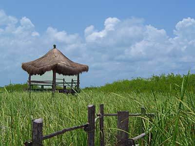 Hotel Desire Pearl Resort And Spa Riviera Maya
