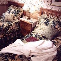 Plaza Heritage Hotel - Standard