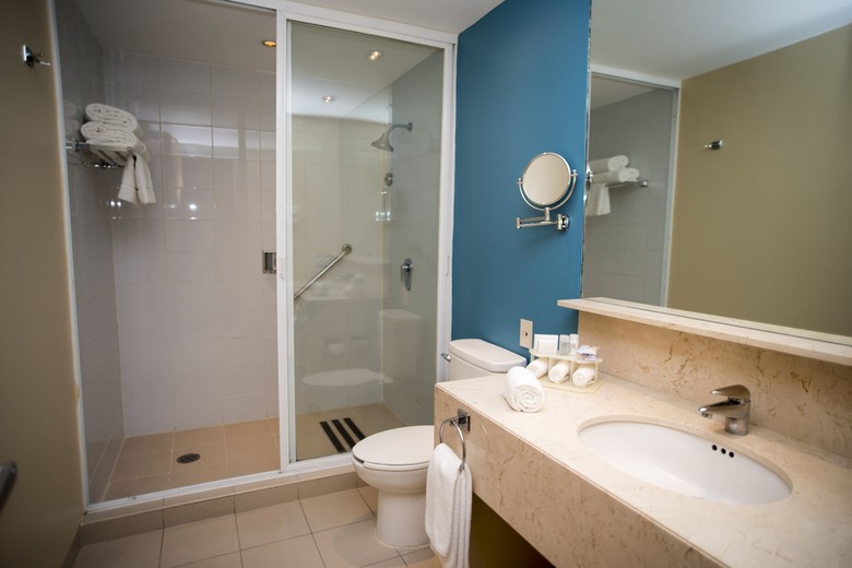 Hotel Holiday Inn Express Mexico Paseo De La Reforma