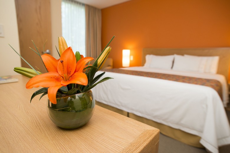 Hotel Holiday Inn Express Mexico Paseo De La Reforma