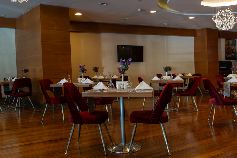 Hotel Ankara Plaza