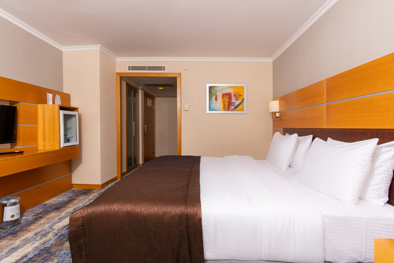 Hotel Ankara Plaza