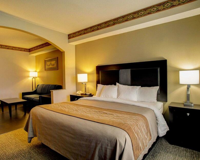 Hotel Comfort Inn & Suites (.)