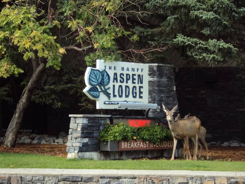 Hotel Banff Aspen Lodge
