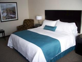 Hotel Holiday Inn Sydney - Waterfront