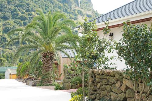 Hotel Mirvill Pension & Resort