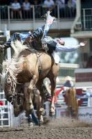 Hotel Travelodge Calgary Airport