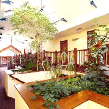 Hotel Best Western Plus Castle Inn