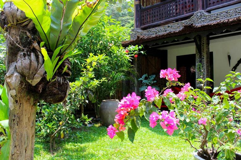 Bed & Breakfast Ecotravel Cottages Bukit Lawang