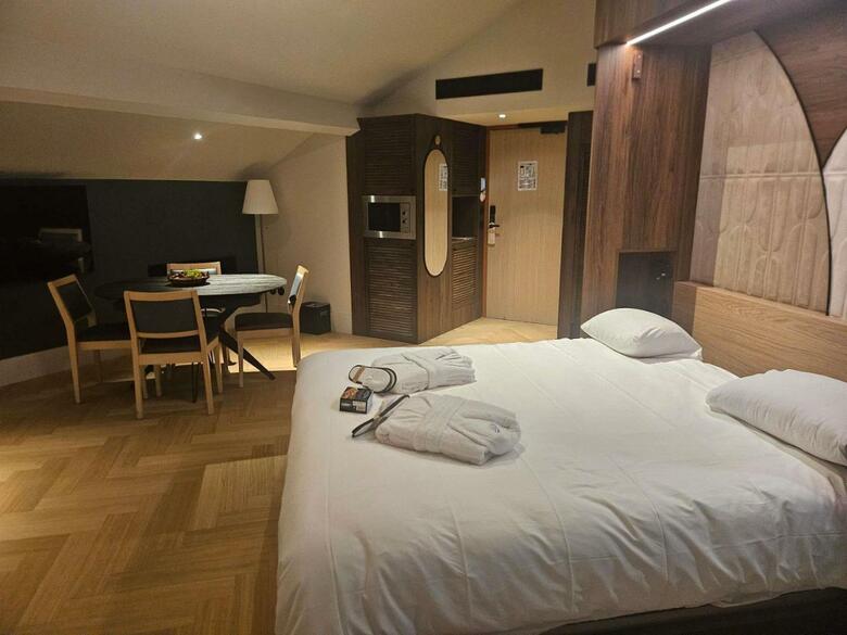 Hotel Mercure Albi Bastides