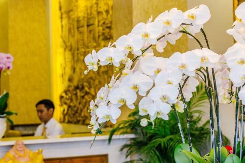Asian Ruby Park View Hotel