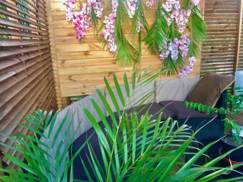 Bed & Breakfast Eden Paradise Spa Ecolodge