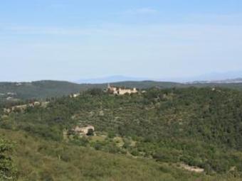 Bed & Breakfast Villa Sant'uberto Country Inn