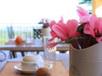 Bed & Breakfast Villa Sant'uberto Country Inn