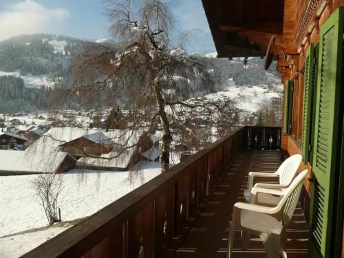 Apartment Am Br�ggli # 2