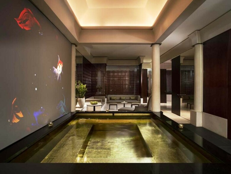 Hotel Park Hyatt Paris-vendome