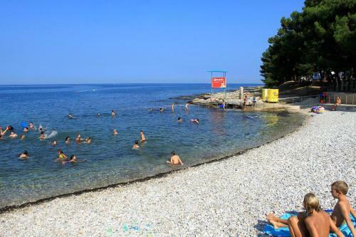 Apartment Basanija 7334a