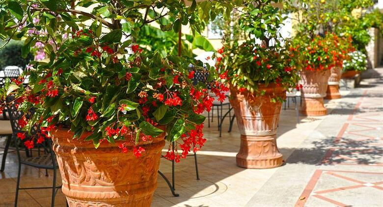 Hotel Marincanto