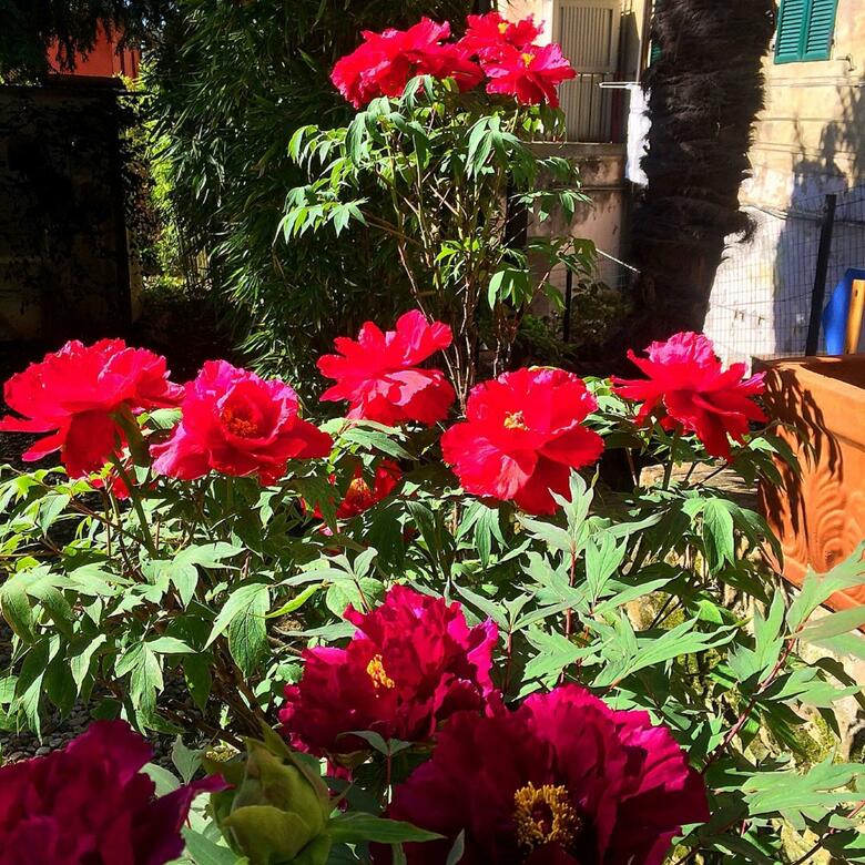 Hotel Santa Caterina