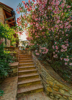 Hotel Casanova Di Pescille