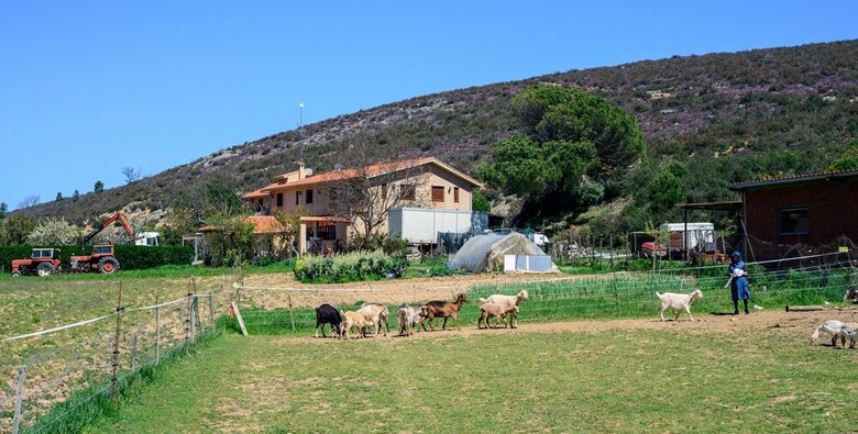 Agroturismo Hotel El Molino