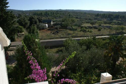 Apartments With A Parking Space Mirca (brac) - 2843