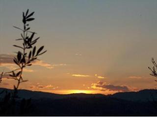Bed & Breakfast Casolare Di Remignoli