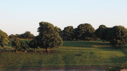 Green Acres Self Catering