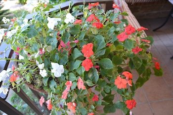 Bed & Breakfast Alto Giardino